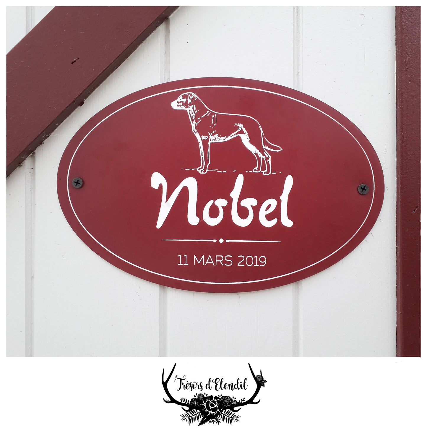 Plaque pour chien personnalisable (pmma)