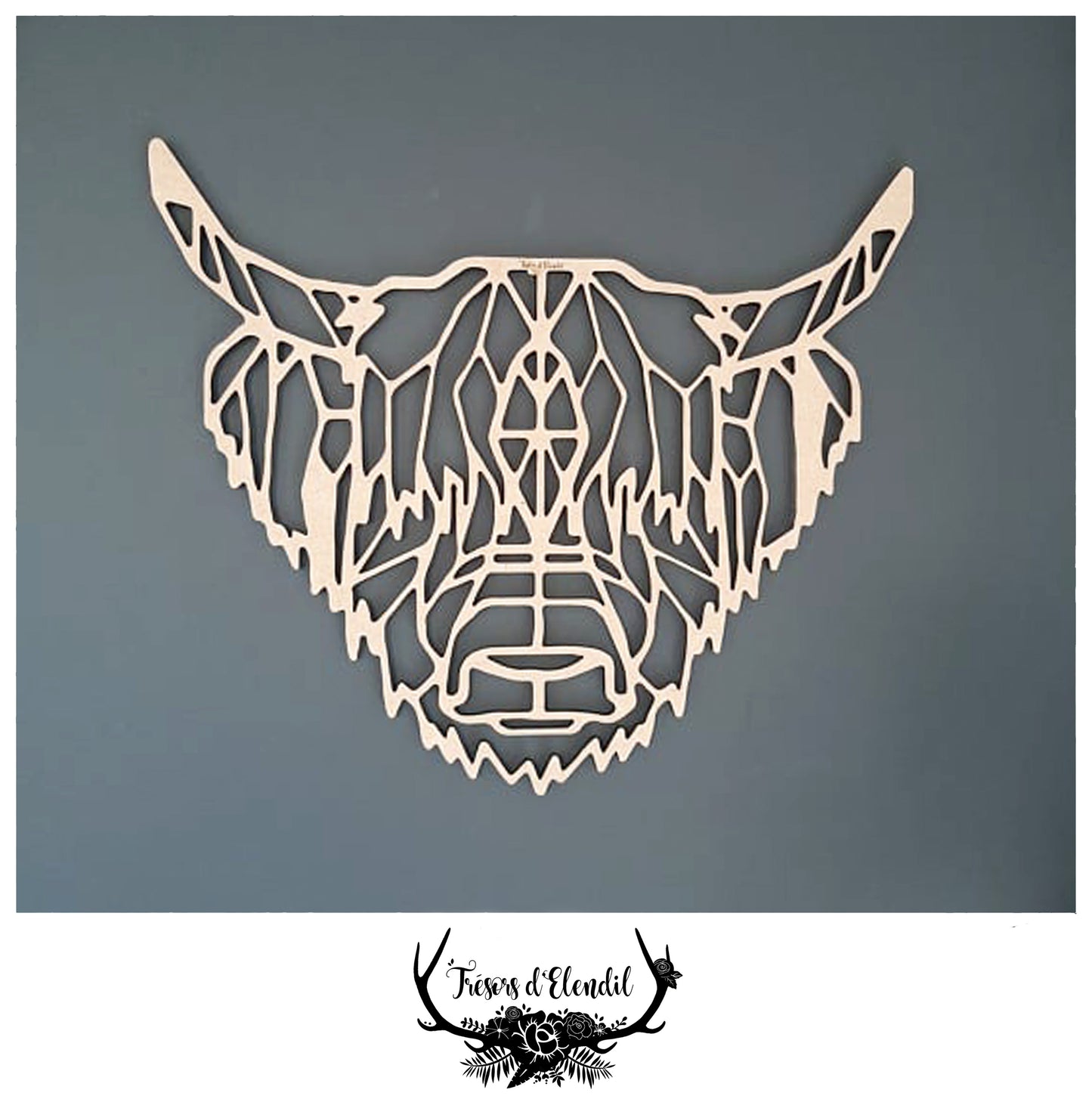 Vache Highland Cattle