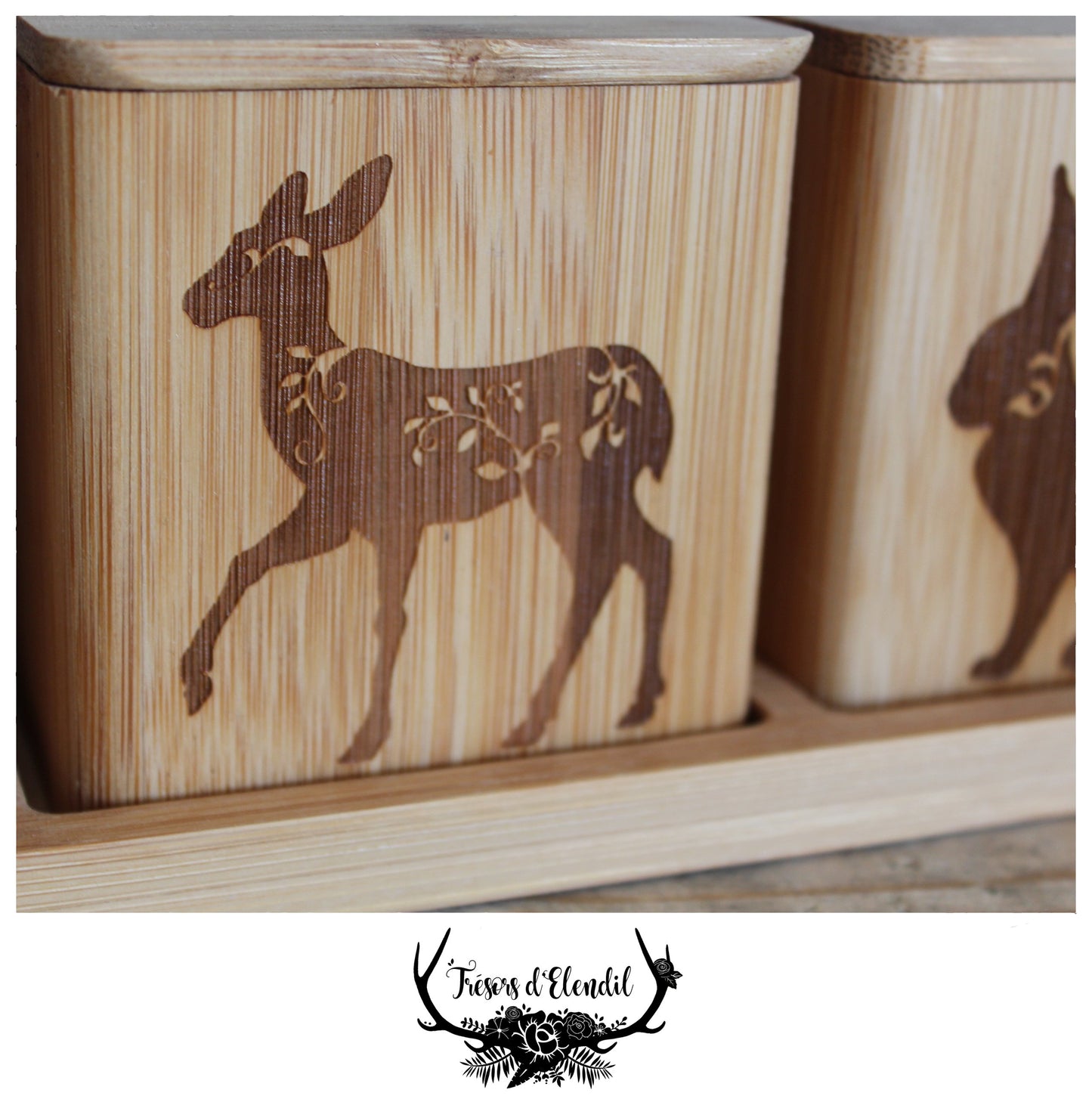 Boîtes animaux de la forêt