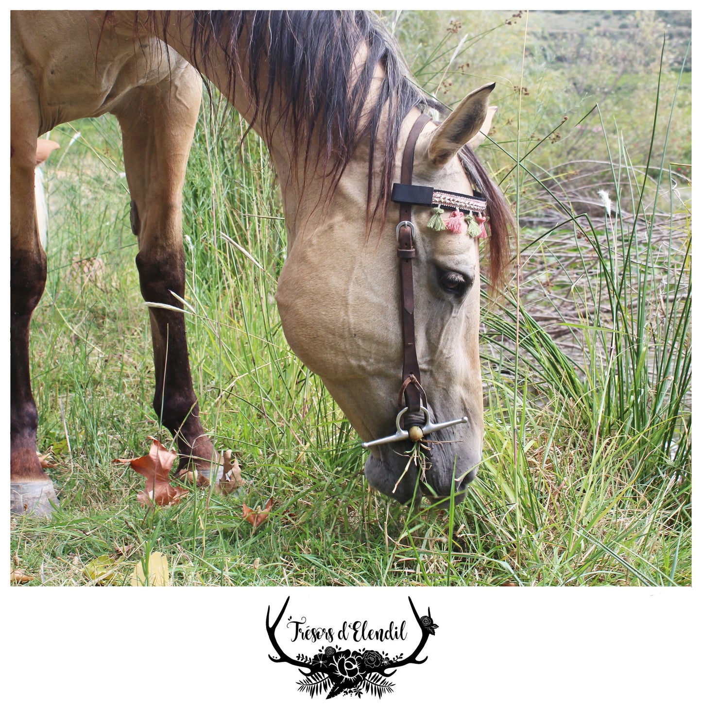 Frontaux pompons (plusieurs couleurs)