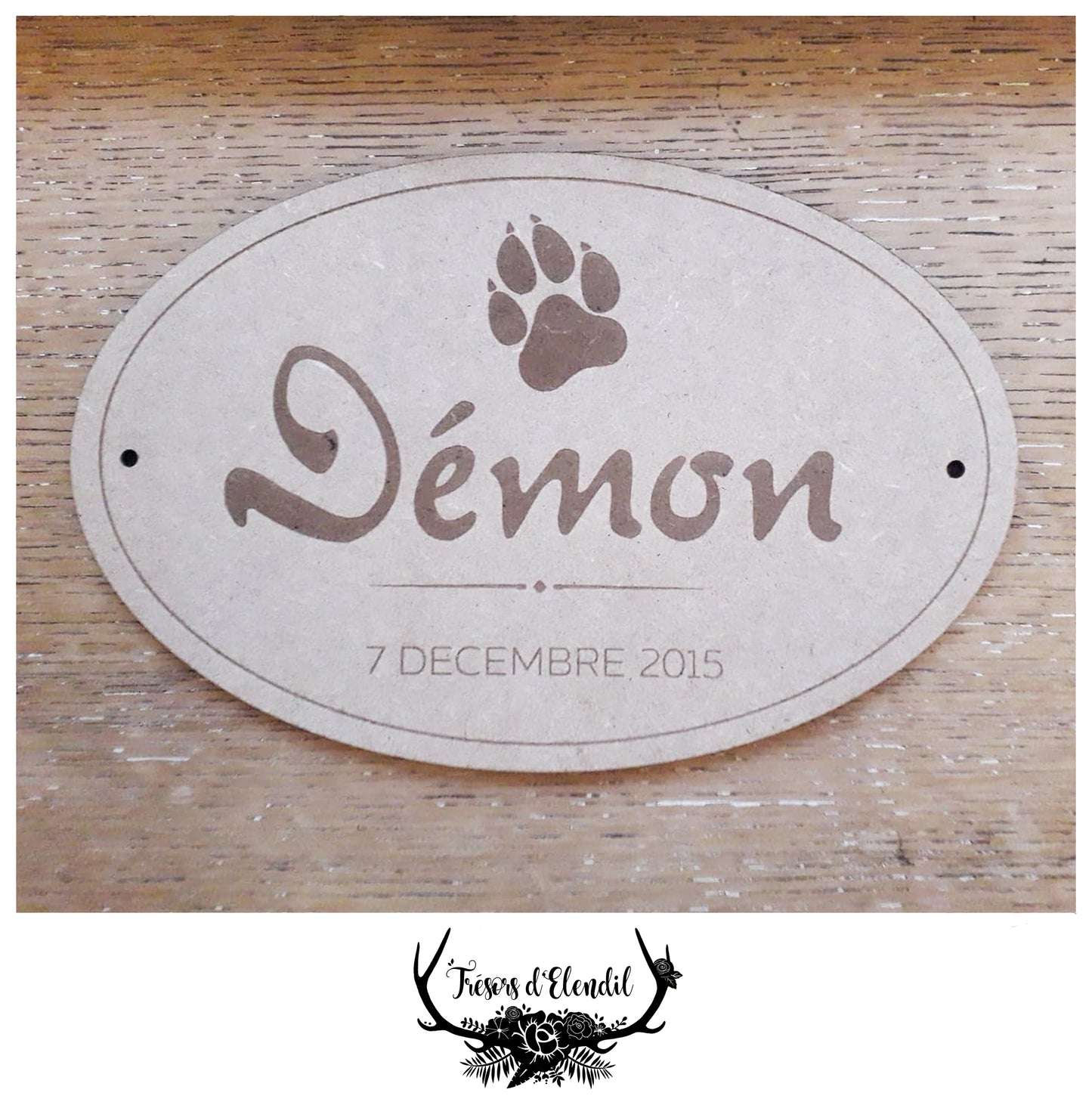 Plaque pour chien personnalisable (medium)