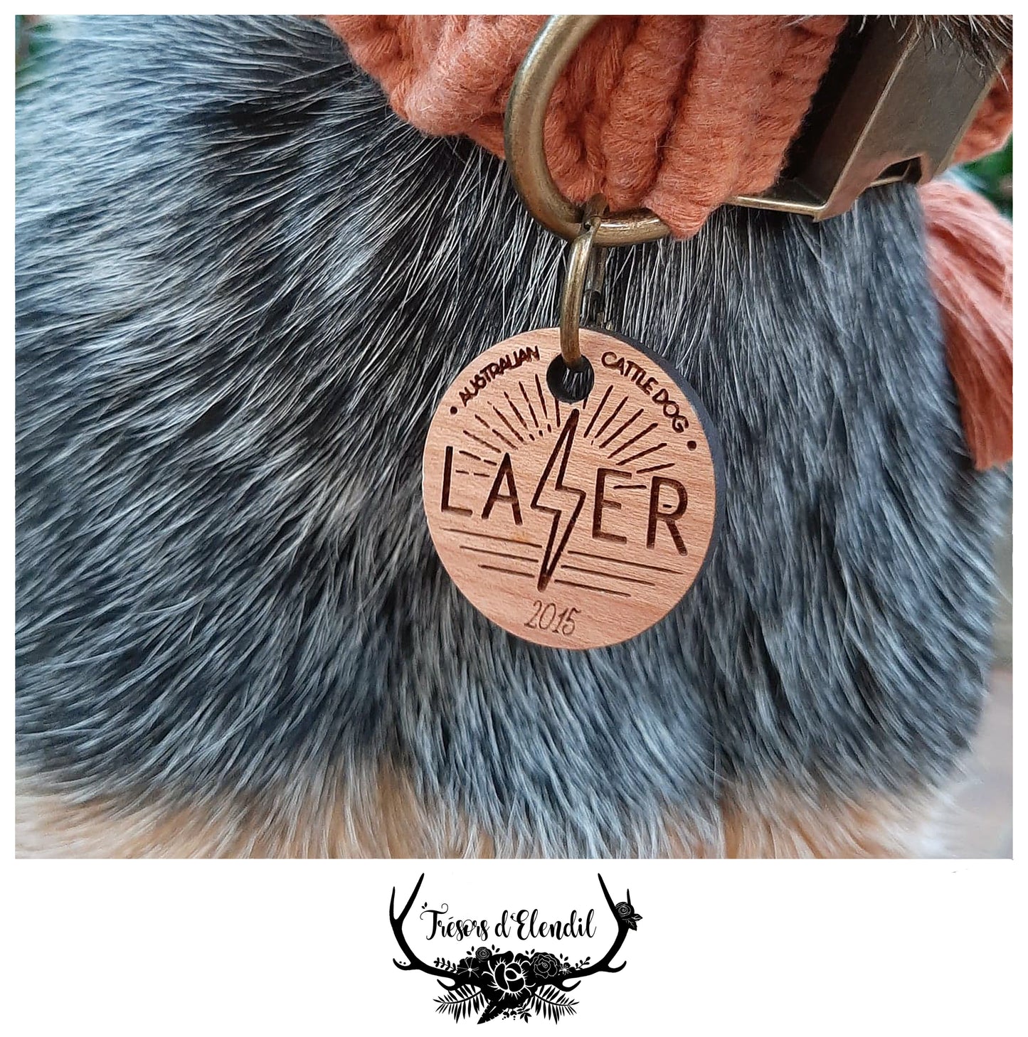 Médaille pour chien personnalisable