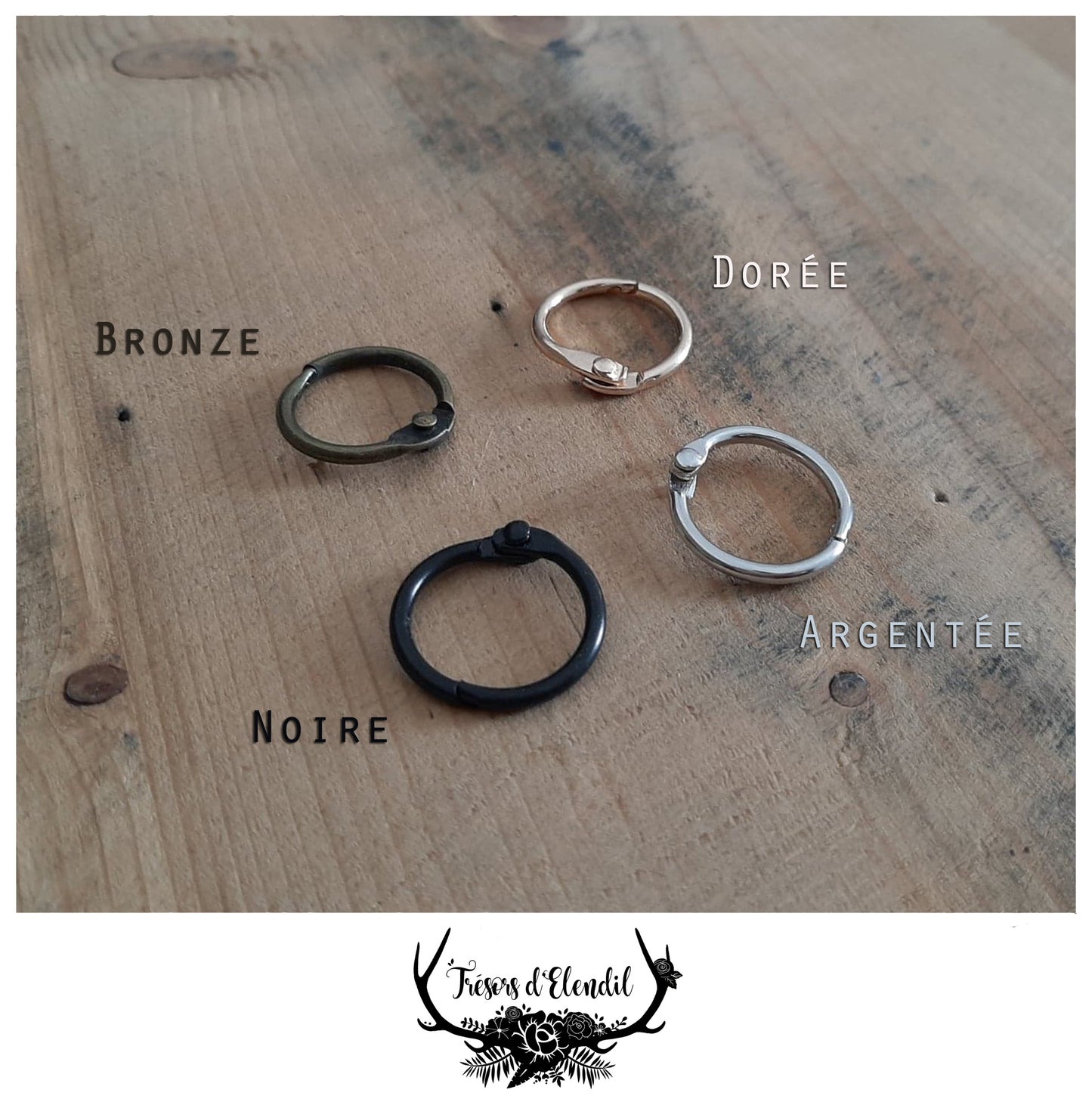 Médaille pour chien personnalisable