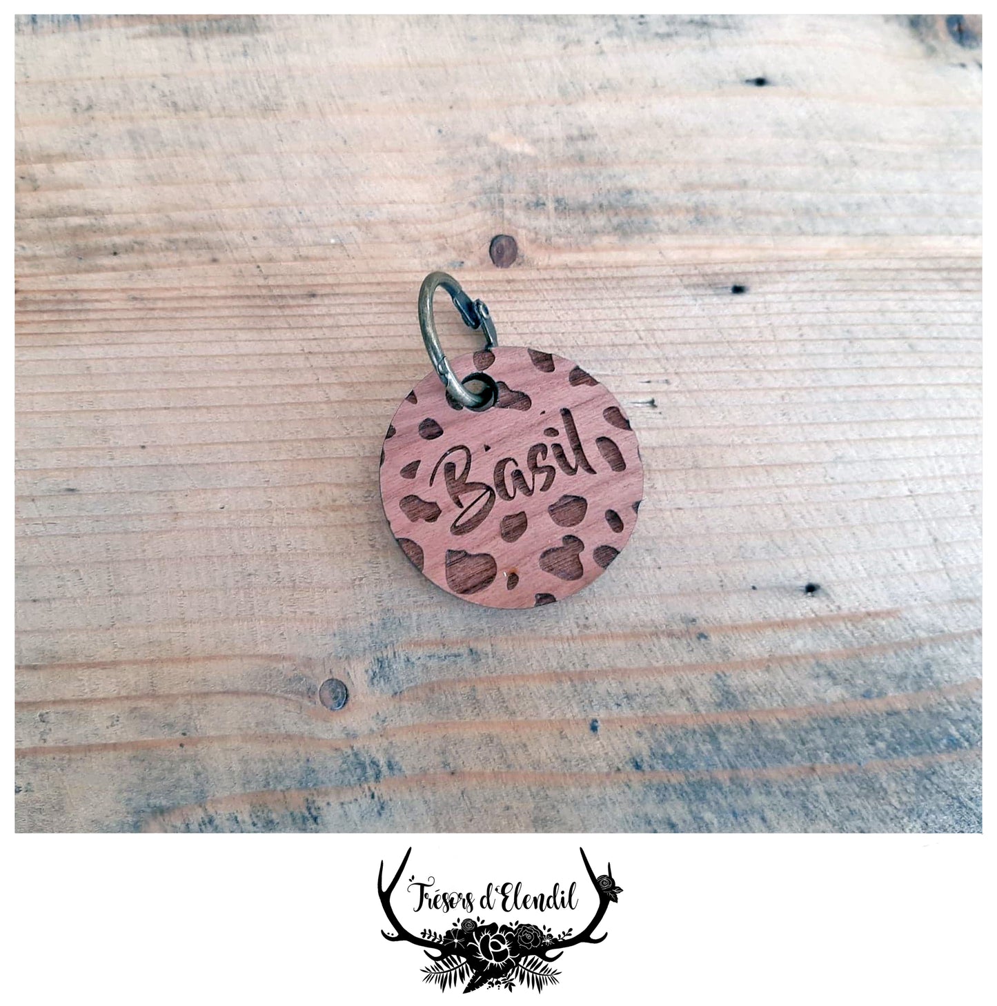 Médaille pour chien personnalisable