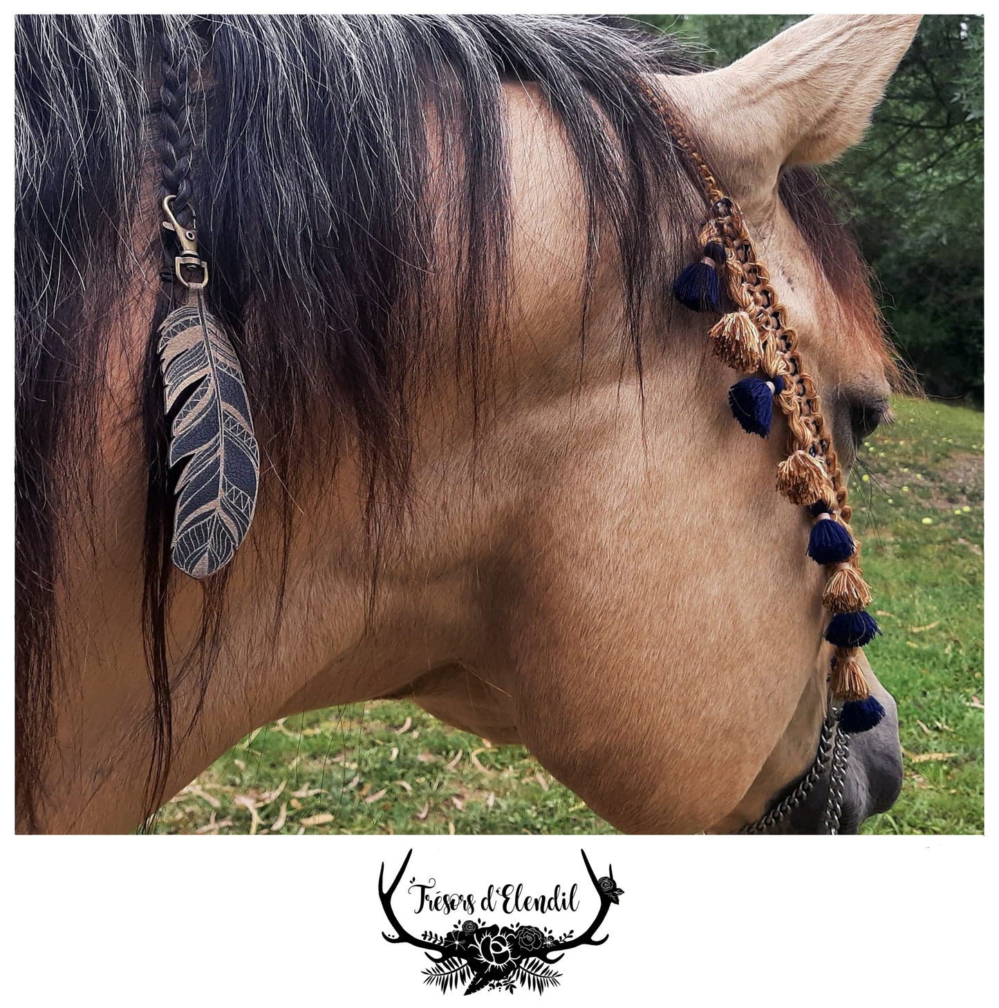 Bijou de crinière
