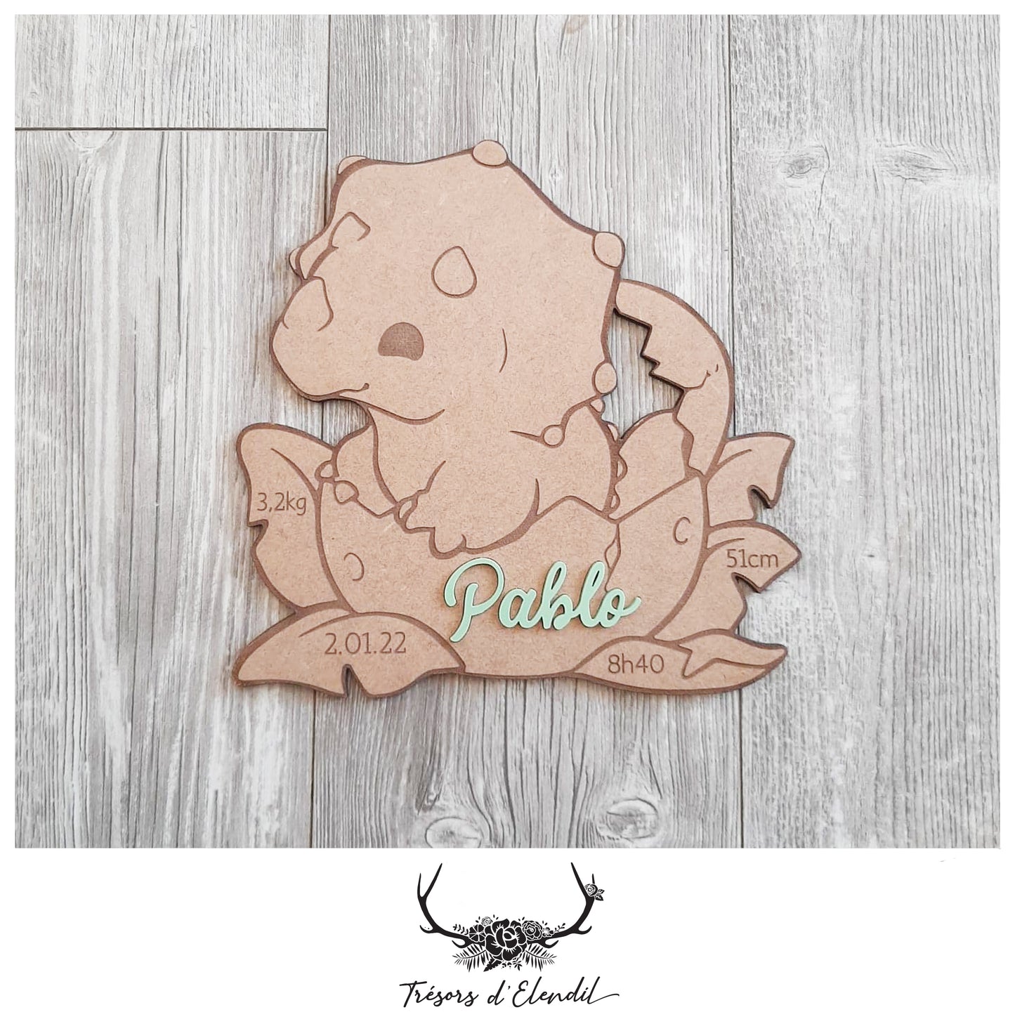 Plaque de naissance dinosaure personnalisable