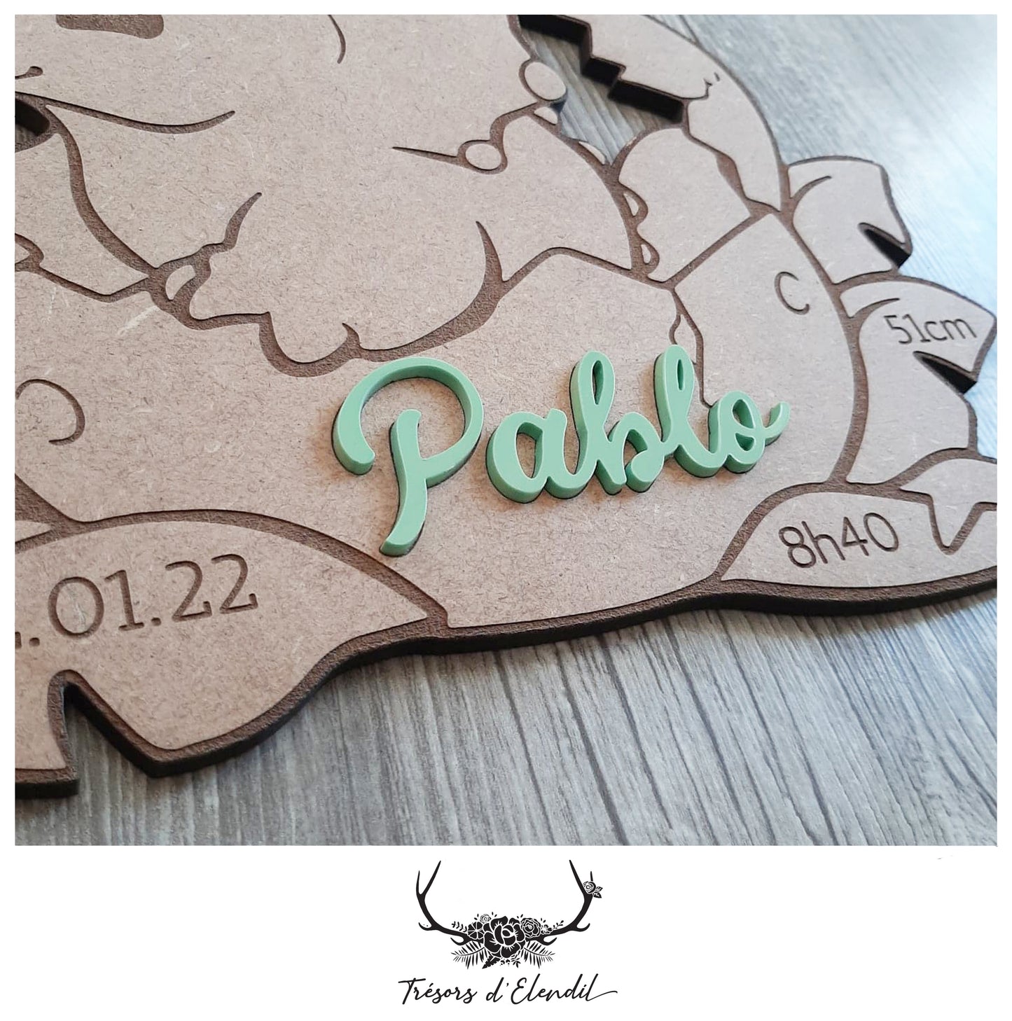 Plaque de naissance dinosaure personnalisable