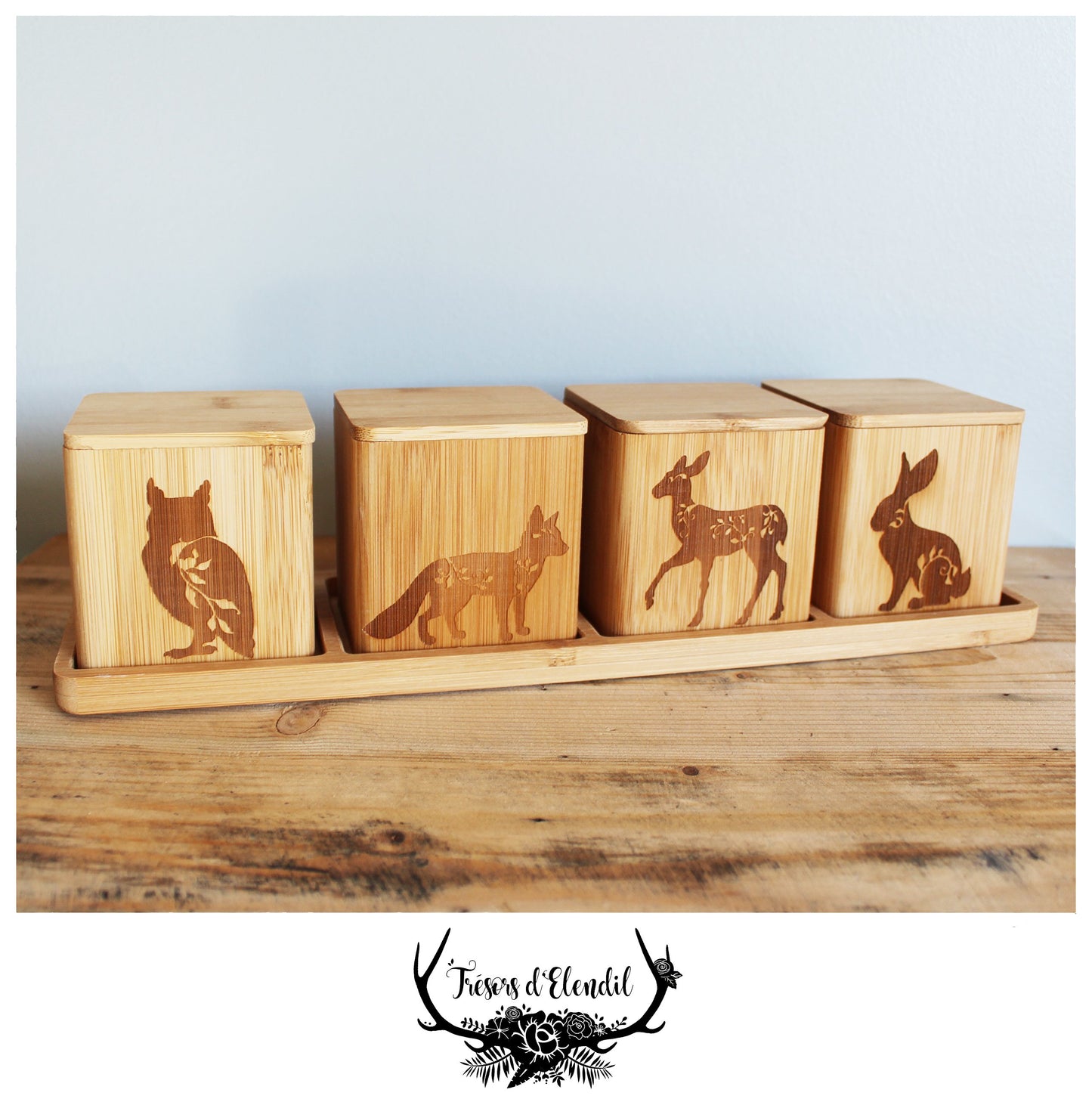 Boîtes animaux de la forêt