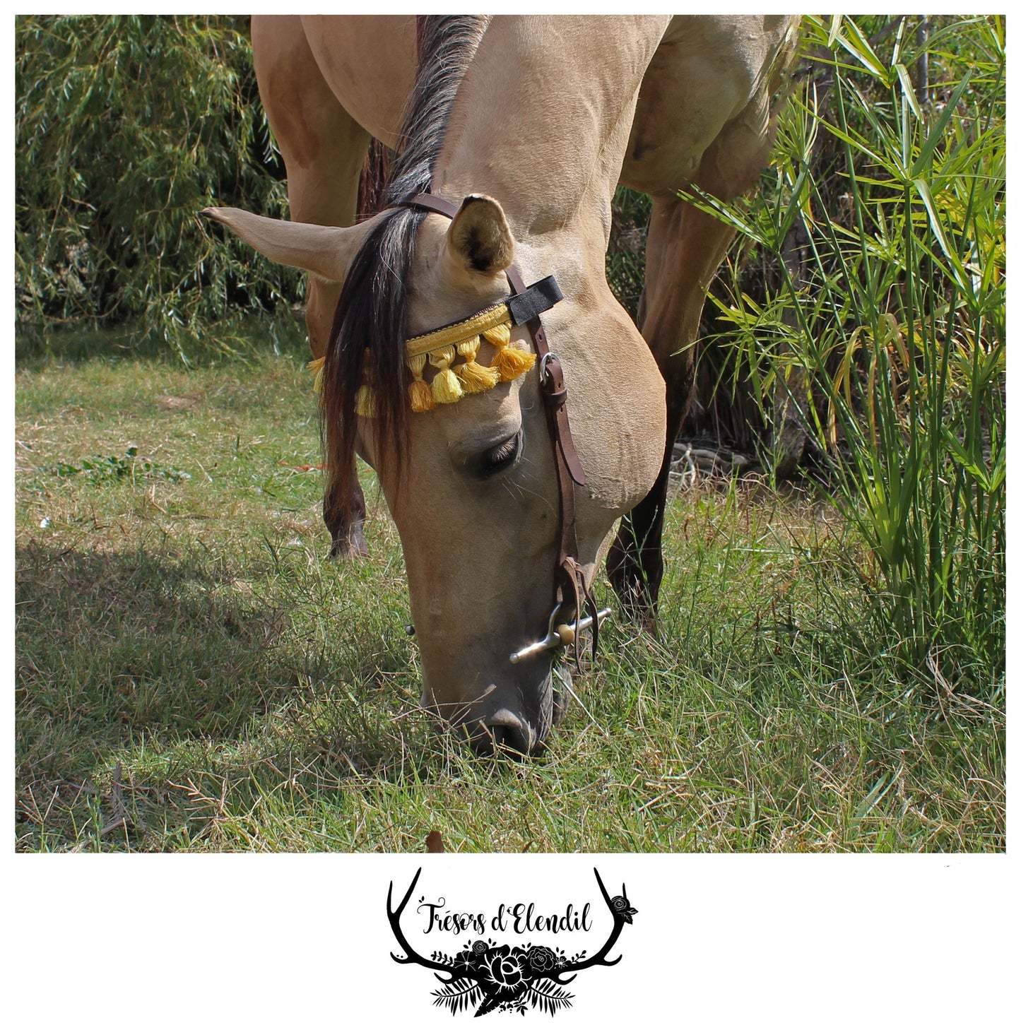 Frontaux pompons (plusieurs couleurs)