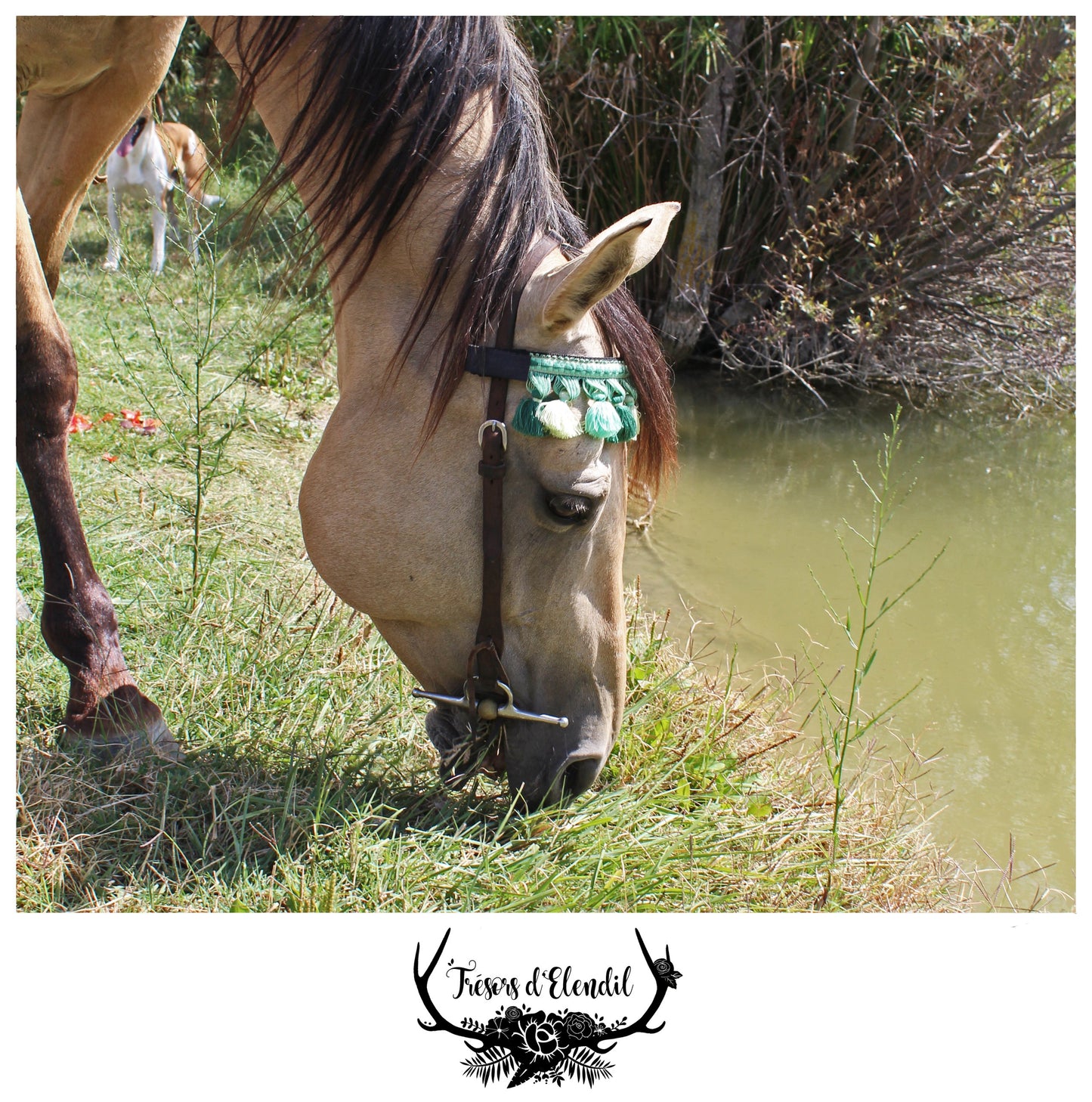 Frontaux pompons (plusieurs couleurs)