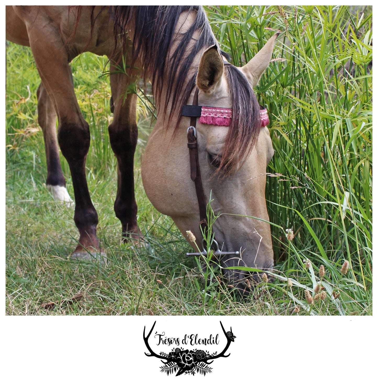 Frontaux pompons (plusieurs couleurs)