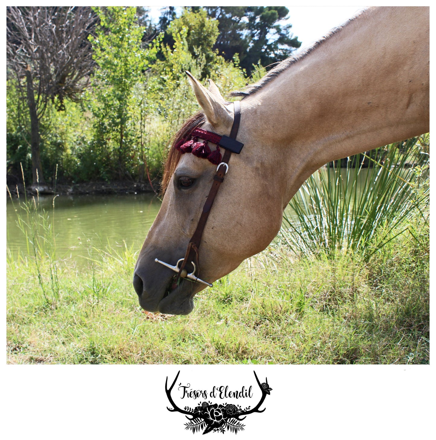 Frontaux pompons (plusieurs couleurs)