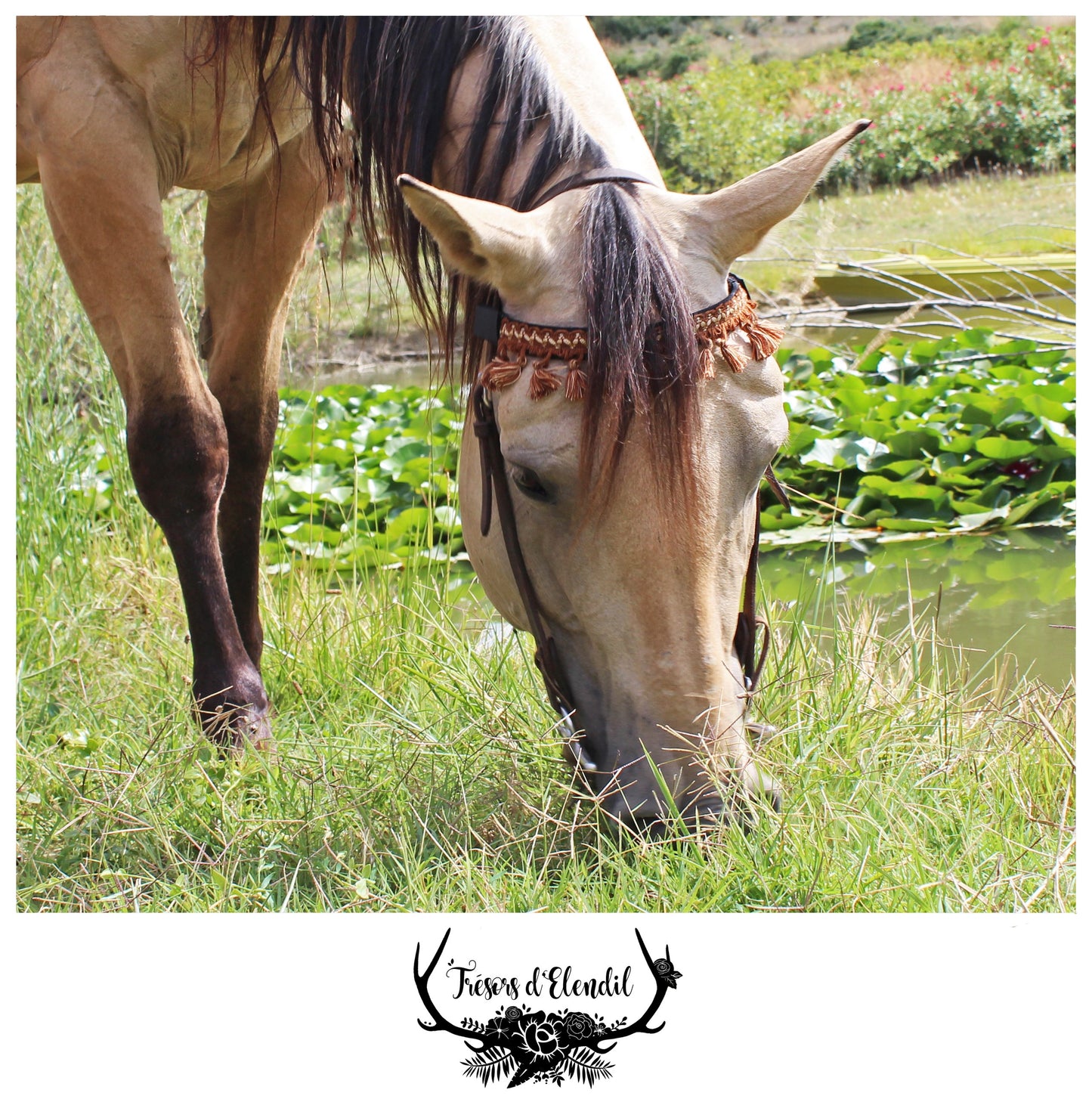 Frontaux pompons (plusieurs couleurs)