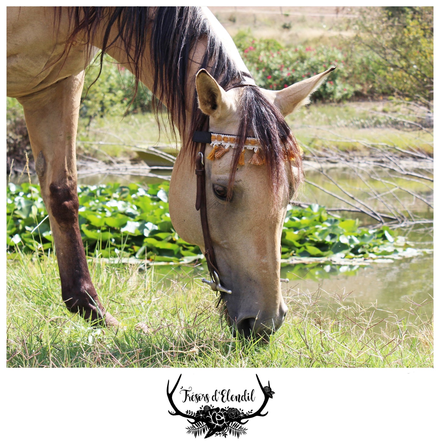 Frontaux pompons (plusieurs couleurs)