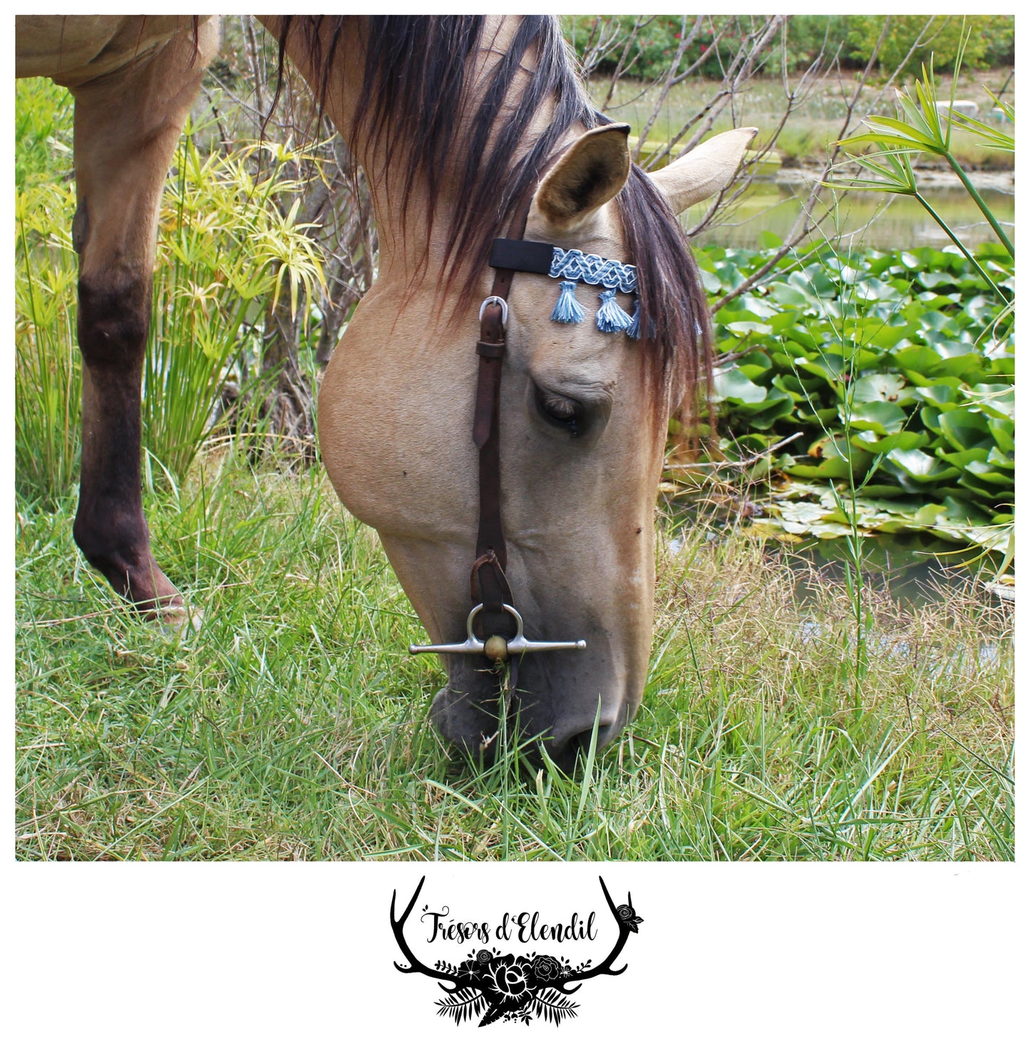 Frontaux pompons (plusieurs couleurs)