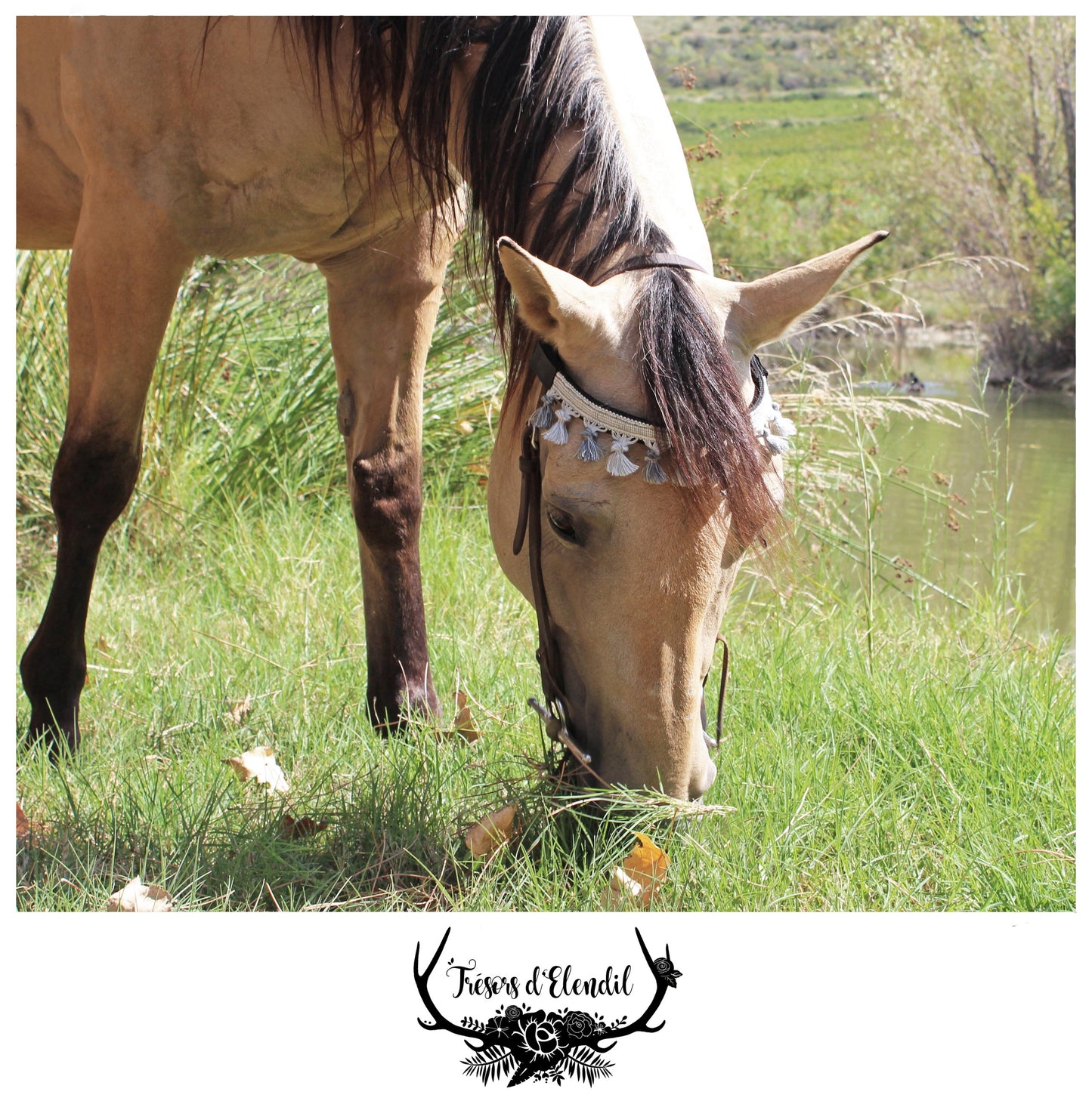 Frontaux pompons (plusieurs couleurs)