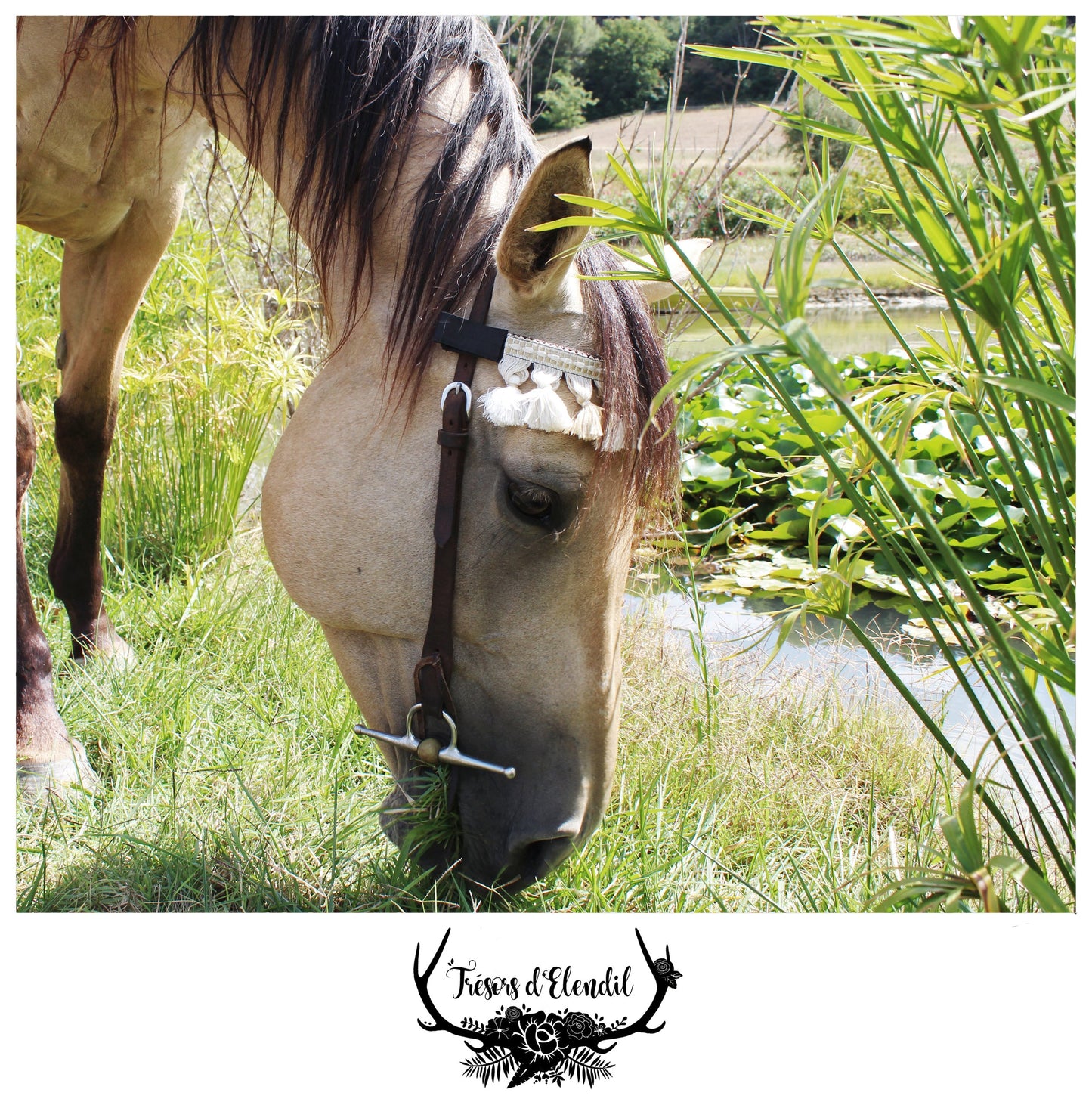 Frontaux pompons (plusieurs couleurs)