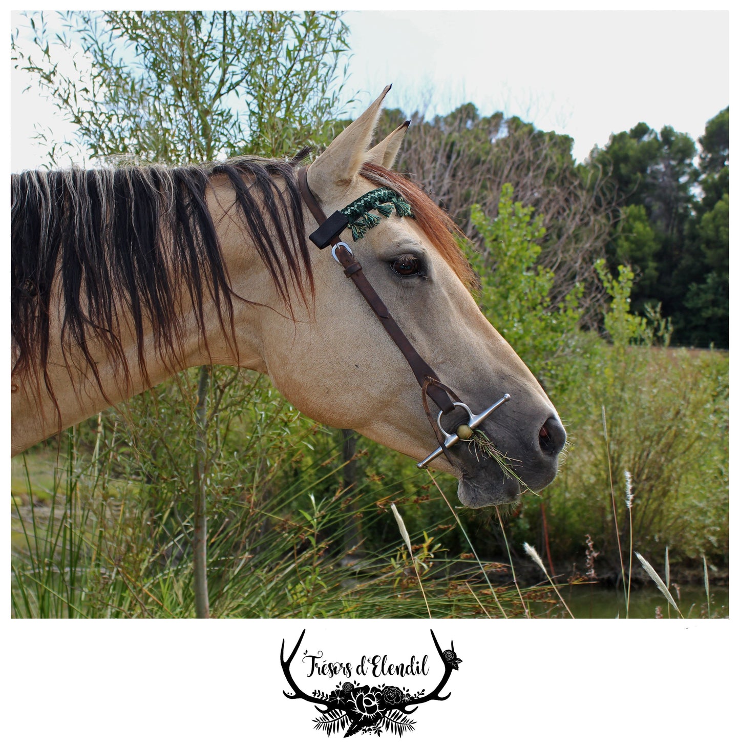 Frontaux pompons (plusieurs couleurs)