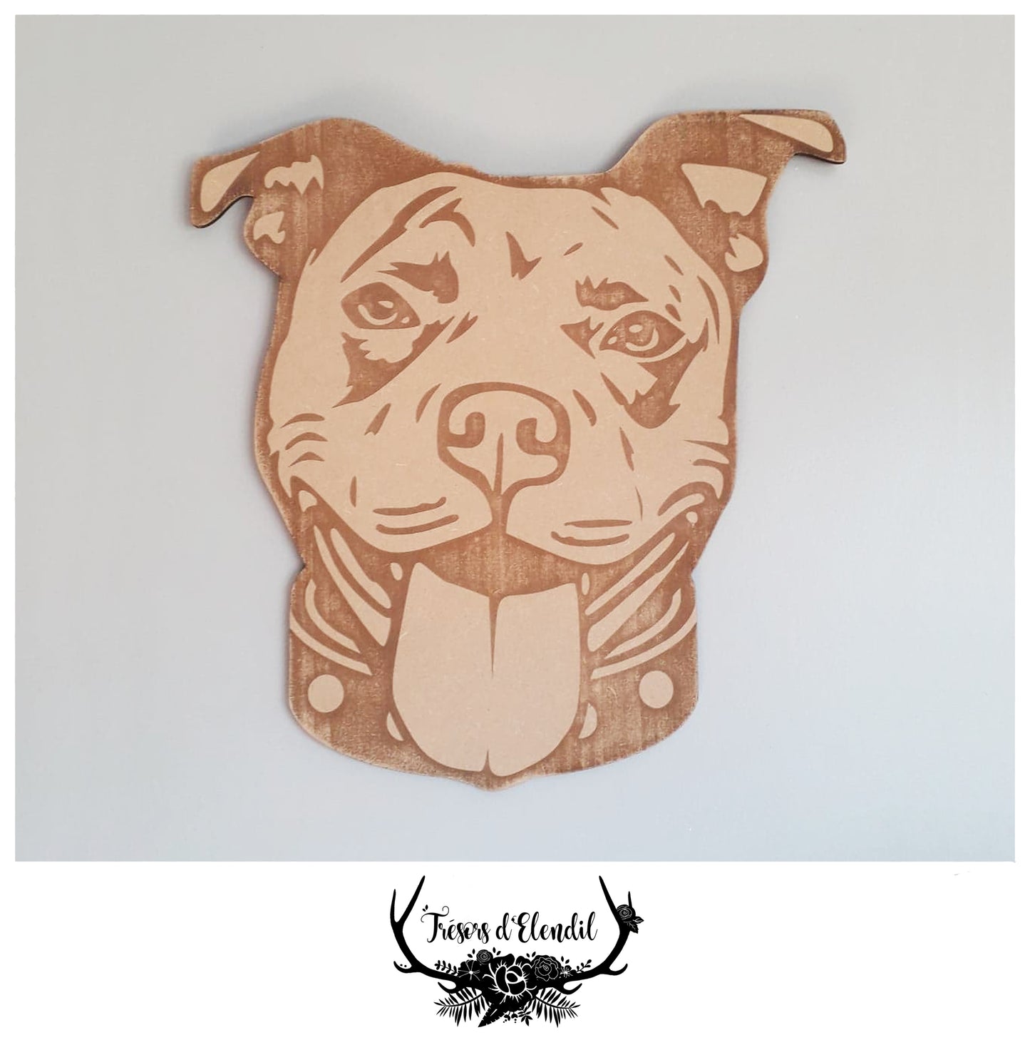 Tête de Staff/Amstaff