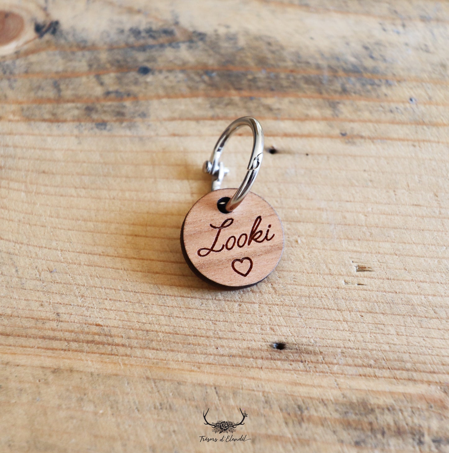 Médaille pour chien personnalisable