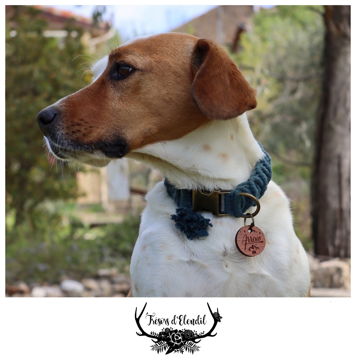 Médaille pour chien personnalisable